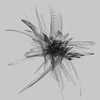 Ricardo Donoso - Quintesence (High Quality) (LP)