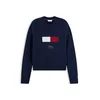 TOMMY HILFIGER Pulover mornarska/zlata/rdeča/bela