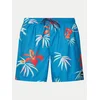 Quiksilver Kopalne hlače Everyday Mix Volley AQYJV03147 Modra Regular Fit