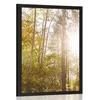 Plakat gozd v jesenskih barvah - 60x90 no frame