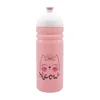 Steklenica R&B Meow 700ml