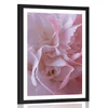 Plakat s paspartujem nageljnovi cvetovi - 40x60 black
