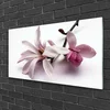 tulup.si Slika na akrilnem steklu Cvetovi rastlin narava 100x50 cm 4 obešalnika
