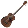 Akusti?na Bas gitara Ibanez PCBE12MH-OPN