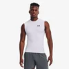 Under Armour HeatGear