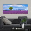 WallXpert slika na platnu YTY580755, usamljeno drvo u polju lavande pod plavim nebom, 30 x 80 cm