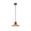 Redo 01-4054 - Luster na sajli FRESNO 1xE27/42W/230V prečnik 24 cm