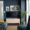 BESTA TV stalaža s vratima, bela Björköviken/Stubbarp/brezov furnir, 120x42x48 cm
