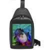 PAUN LED Ranac D/ Crni