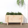 Povišena vrtna gredica 101 x 50 x 57 cm od masivne borovine