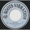 Vivian Jones - Institutionalized Racism (7 SP)