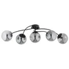 Mitea M11101-5 plafonski luster sa 5 dimljenih kugli, crni, 5xE27