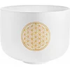 Meinl  PCSB10FOL Sonic Energy