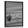 Plakat školjke na peščeni plaži v črnobeli varianti - 30x45 no frame