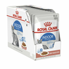 Royal Canin Indoor Sterilised In Gravy Pouch 12x85 g