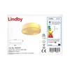 Lindby - Stropna svetilka SEBATIN 3xE27/60W/230V