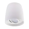 Spot svetlo BESA 1xGU10/30W/230V belo
