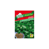 SEME ROYAL SEEDS 22 Koriander