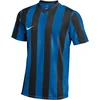 Dres Nike  NK DF STRP DVSN V JSY SS