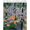 Will Stratton - The Changing Wilderness (Limited Edition) (Light Blue Coloured) (LP)