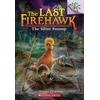 Silver Swamp: A Branches Book (The Last Firehawk #8)
