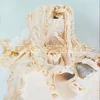 Pale Saints - In Ribbons