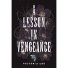 A Lesson in Vengeance