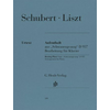 SCHUBERT/LISZT:AUFENTHALT/RESTING PLACE FROM SCHWANENGESANG D 957