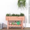 Povišena vrtna gredica 101 x 30 x 69 cm od masivne duglazije
