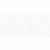 Barbados White Pulido 60x120cm