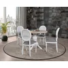 Hanah Home Trpezarijski sto i stolice Albero133, 100x75x100 cm, 4 stolice, Smeđi