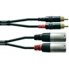 Cordial Cordial 6 m REAN XLR moški/cinch adapterski kabel