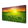 tulup.si Slika na platnu Pšenična polja sunrise 120x60 cm