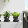 Okrugla saksija za cveće 24 pcs Crna O 12,5 x 10 cm Plastika