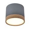 LED plafonsko svetlo TUBA LED/9W/230V
