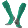 Puma Nogavice Team LIGA Socks