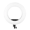 DÖRR SL-480 krožna LED luč