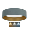 Brilagi - LED plafonsko svetlo VELVET LED/24W/230V 3000/4000/6400K mint/zlatna