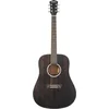 Washburn Deep Forest Ebony D Striped Ebony elektro-akustična gitara