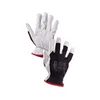 Kombinirane rokavice TECHNIK PLUS, črno-bele, velikost 2,5 mm, kosov. 08
