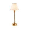 Endon 114811 - LED prigušiva punjiva stolna lampa BURLEY LED/1,5W/5V mesing/bela