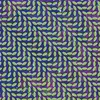 Animal Collective - Merriweather Post Pavilli (2 LP)