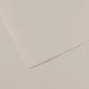 Canson Mi-Teintes papir za pastel A3 160 g 25 listov - Biserno siva 120