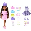 Mattel Barbie Dream Besties lutka s dodatki Brooklyn