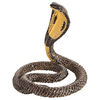 Mojo King Cobra