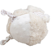 Bigjigs Baby Doggie Rattle Active Ball