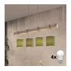 Brilagi - LED luster na sajli NUBILA 4xE27/60W/230V siva/zelena