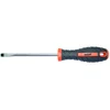 Topmaster Odvijač GD 221205, 5x100mm