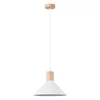 Sollux SL.1319 - Luster na sajli JAGA 1xE27/15W/230V prečnik 30 cm bela