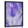 Plakat regrat v vijolični varianti - 20x30 no frame